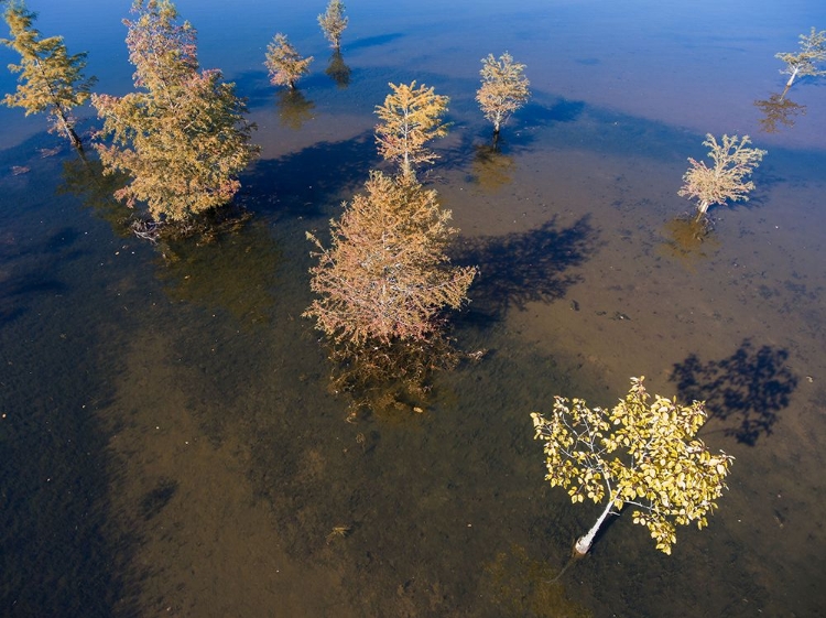 Picture of FALL LAKE 2