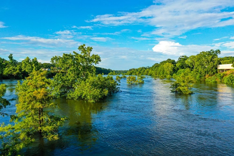 Picture of BLOOMING ON THE COOSA 3