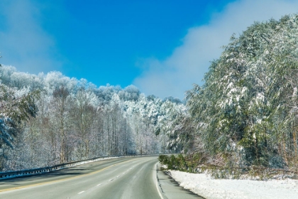 Picture of SNOW ROAD