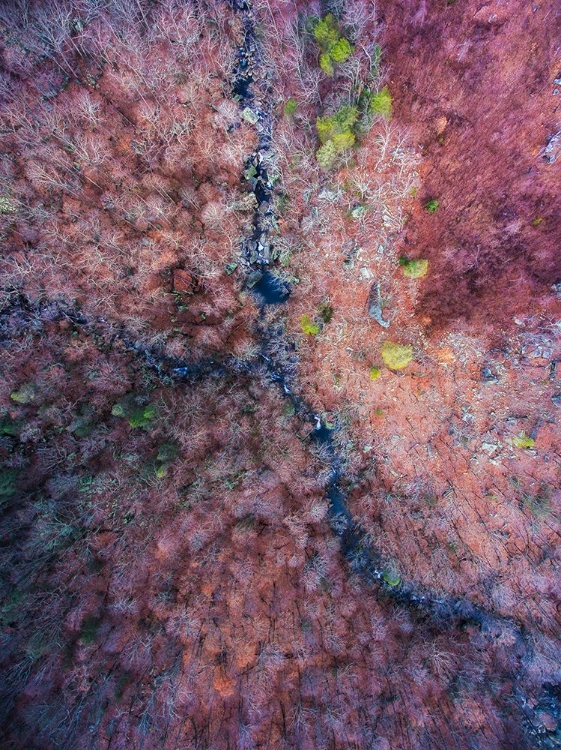 Picture of SIGNAL MOUNTAIN AERIAL 