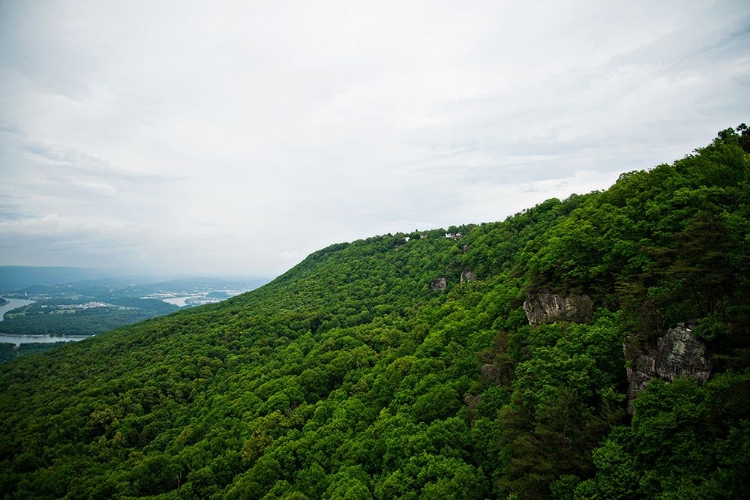 Picture of SUNSET ROCK