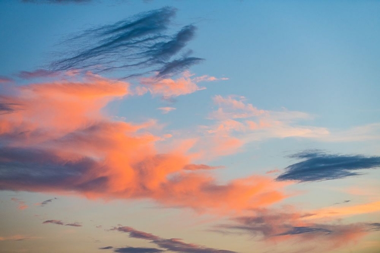 Picture of TEXAS SUNSET 