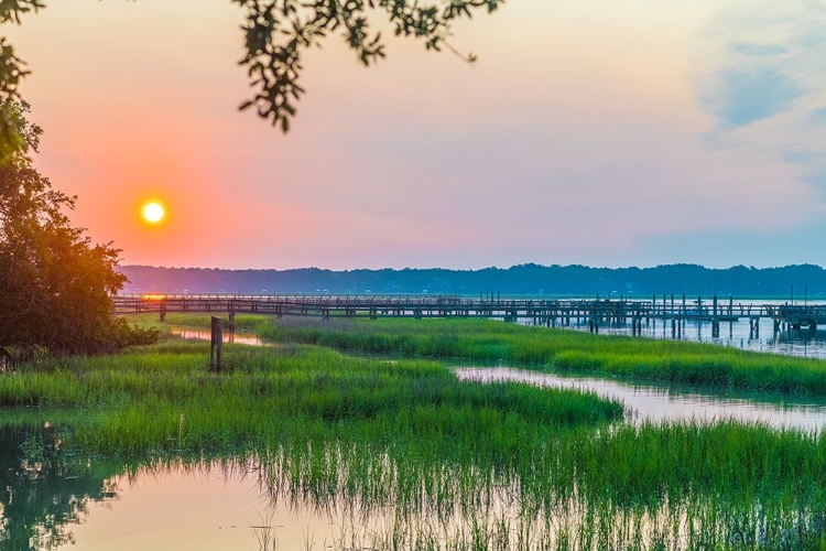 Picture of MORNING MARSH 2