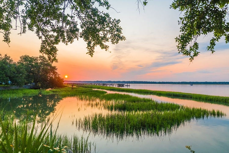 Picture of MORNING MARSH 4