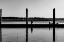 Picture of MONOCHROME DOCK 2