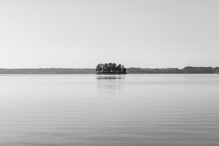 Picture of FLOATING ISLAND