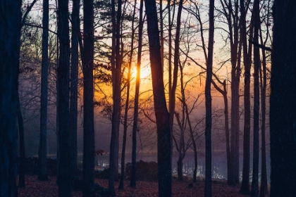 Picture of FOGGY SUNRISE