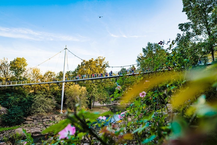 Picture of FALLS PARK 4 24X16