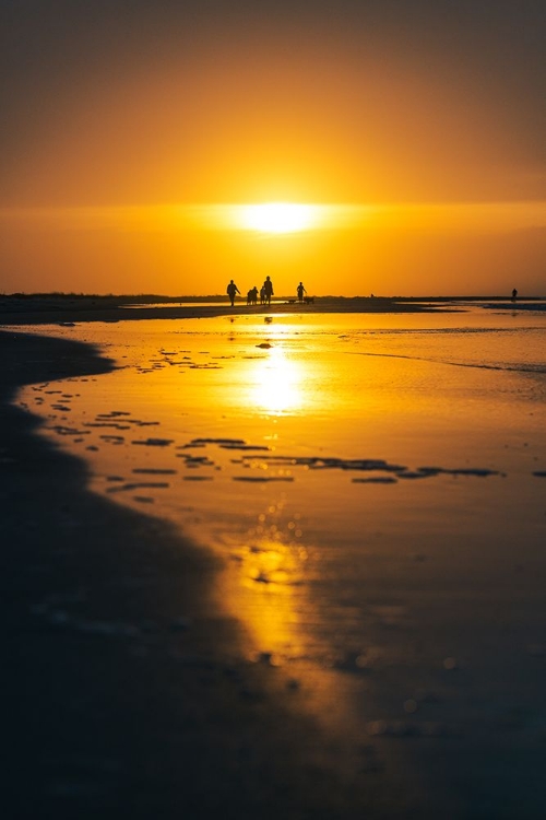 Picture of FAMILY IN THE SUN