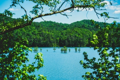 Picture of OCOEE SUMMER