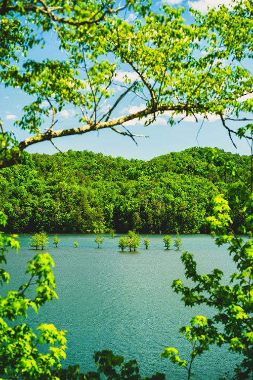 Picture of OCOEE SUMMER 2 VERTICAL