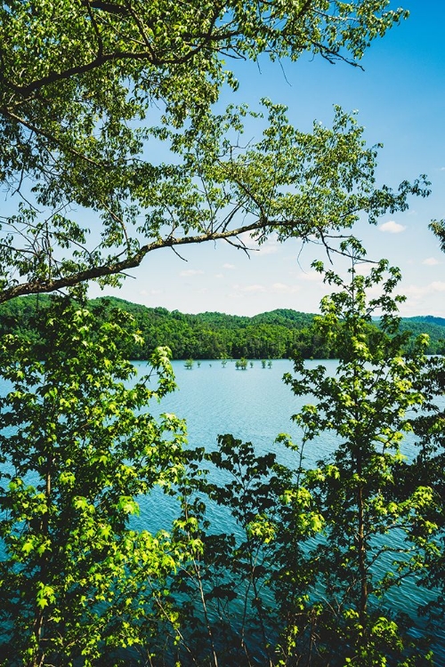 Picture of OCOEE SUMMER 3 VERTICAL