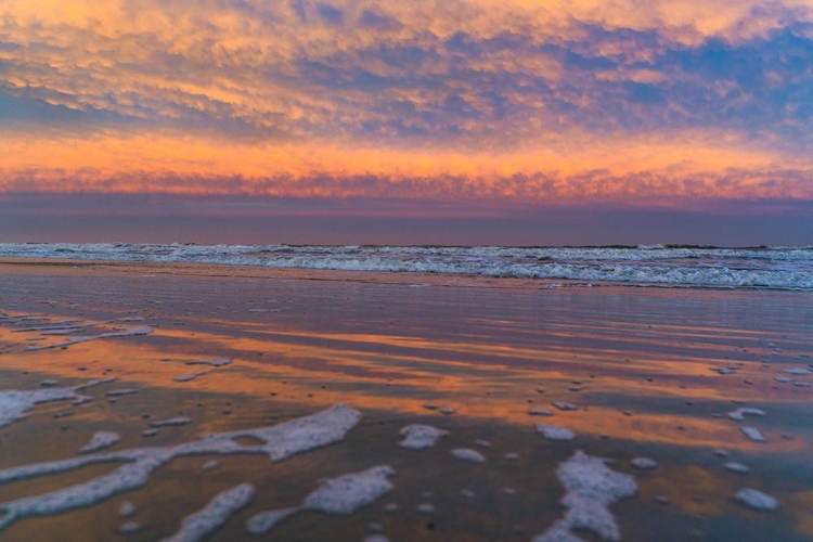 Picture of RAINBOW TIDE