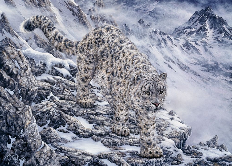 Picture of SNOW LEOPARD