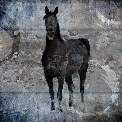 Picture of BLACK MARE 3