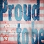 Picture of AMERICAN BORN FREE SIGN COLLECTION 3