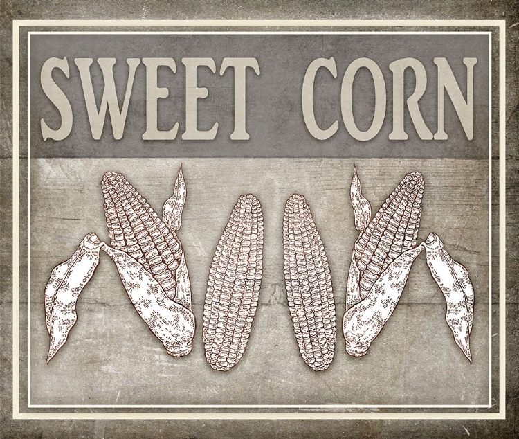 Picture of SWEET CORN 1