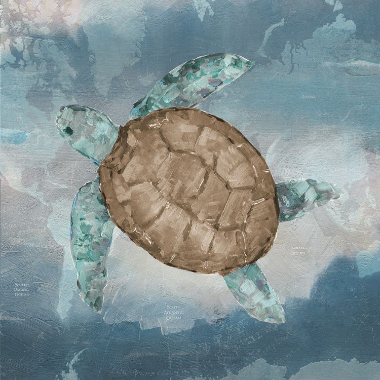 Picture of TRAVELING TURTLE II