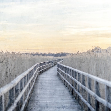 Picture of WOODEN PIER