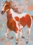 Picture of PAINTED HORSE