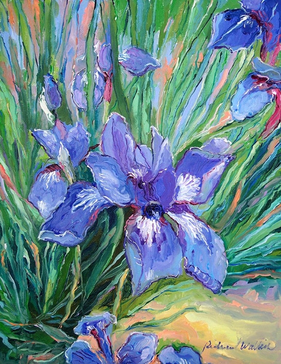 Picture of IRIS