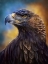 Picture of GOLDEN EAGLE