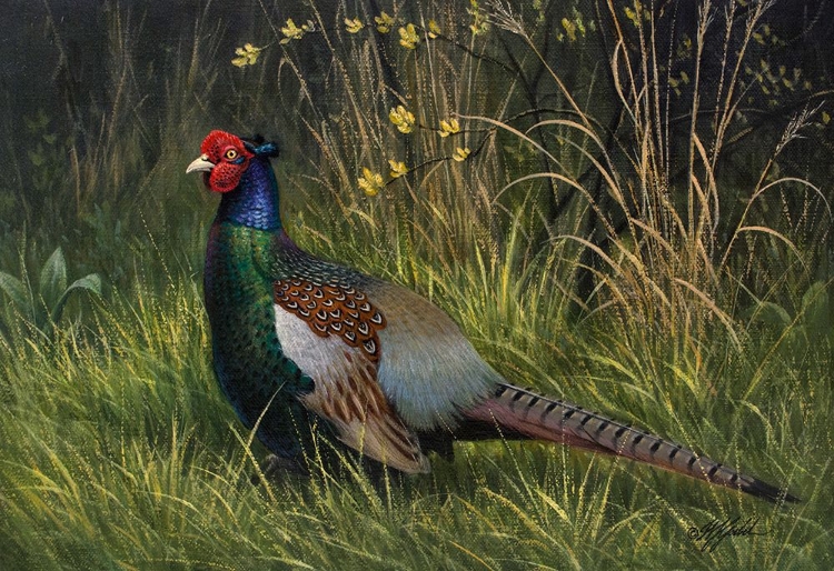 Picture of JAPANESE GREEN PHEASANT