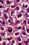 Picture of VIOLA PATTERN