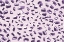 Picture of SCATTERED SMALL PURPLE STROKES PATTERN