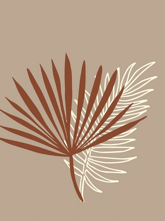 Picture of PICANTE PALM