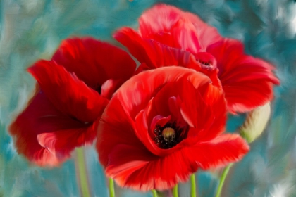 Picture of POPPIES BLUE