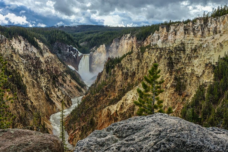 Picture of LOWER FALLS YNP GRAND CANYON