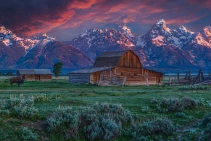 Picture of MORMON ROW BARN SUNRISE