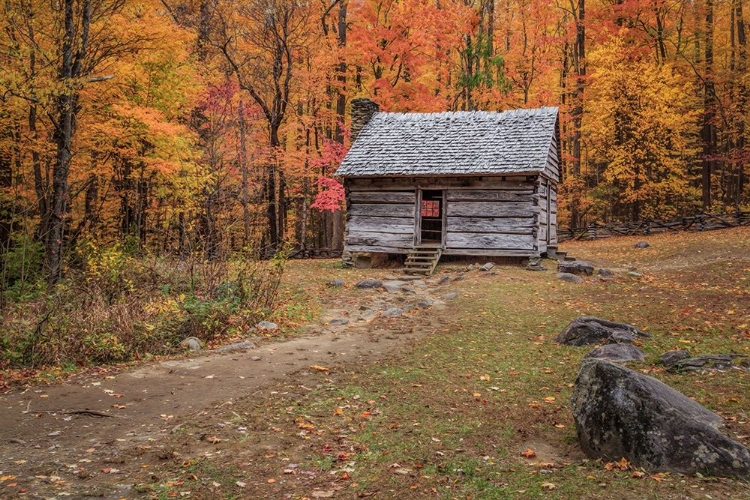 Picture of ALEX COLE CABIN