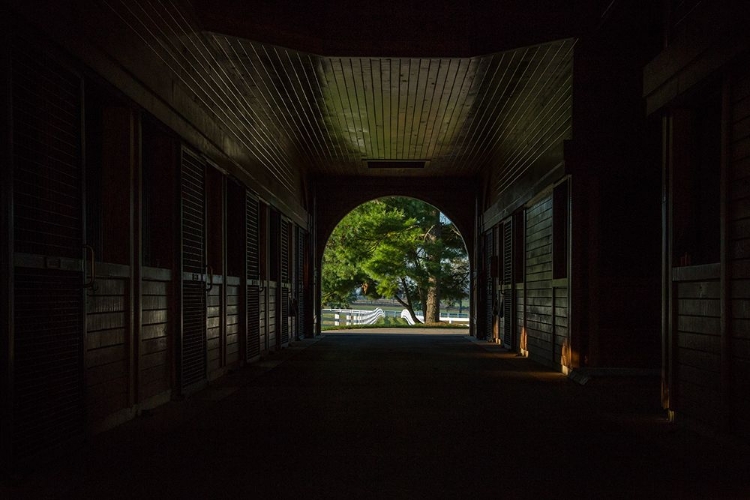 Picture of HORSE FARM BARN (INSIDE AND OUT)