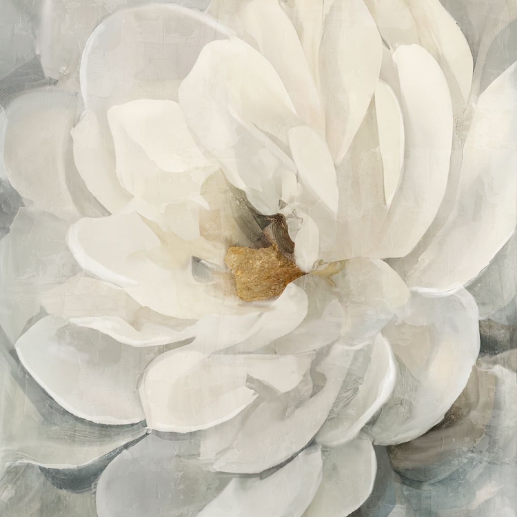 Picture of CREAM PEONY I