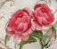 Picture of APRICOT PEONIES I