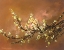 Picture of YELLOW PLUM BLOSSOM 2