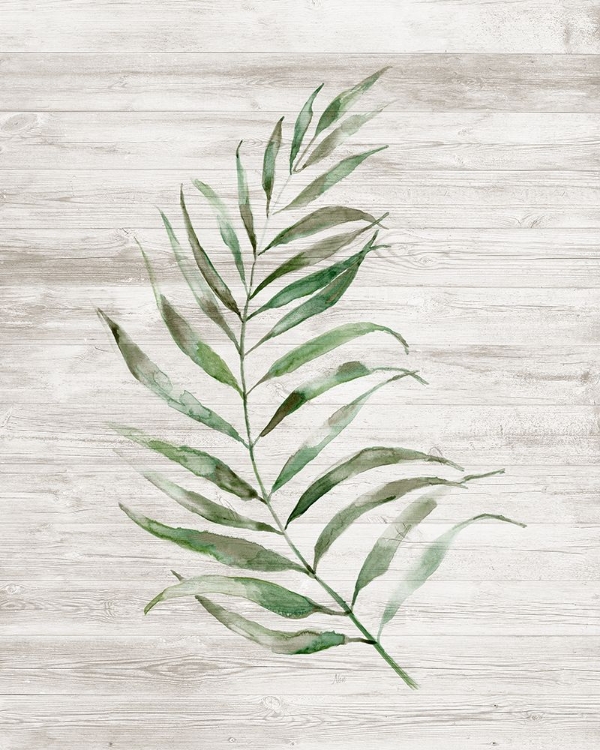 Picture of TROPIC FROND I