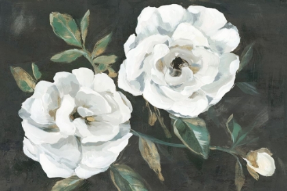 Picture of WHITE BLOOMS