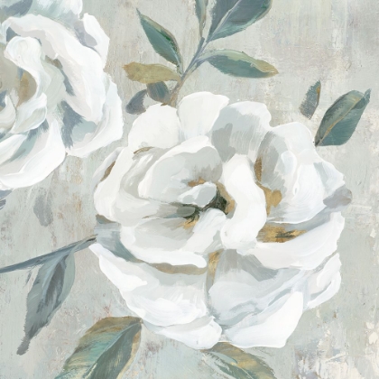 Picture of WHITE FLORAL II