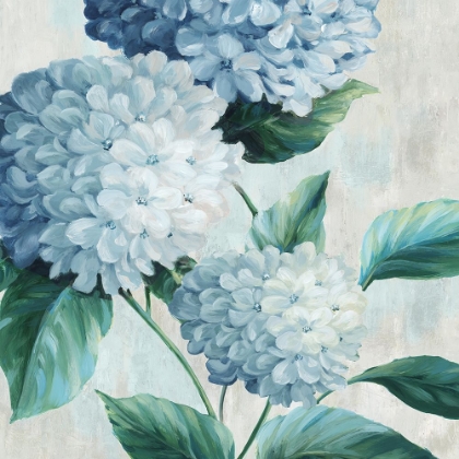 Picture of BLUE HYDRANGEA BLOOMS I