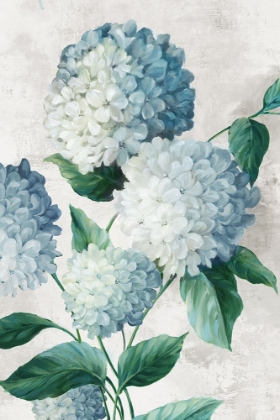 Picture of BLUE HYDRANGEA FLORALS