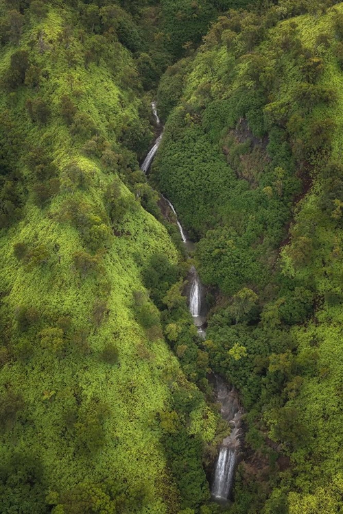 Picture of RIBBON STREAMS I