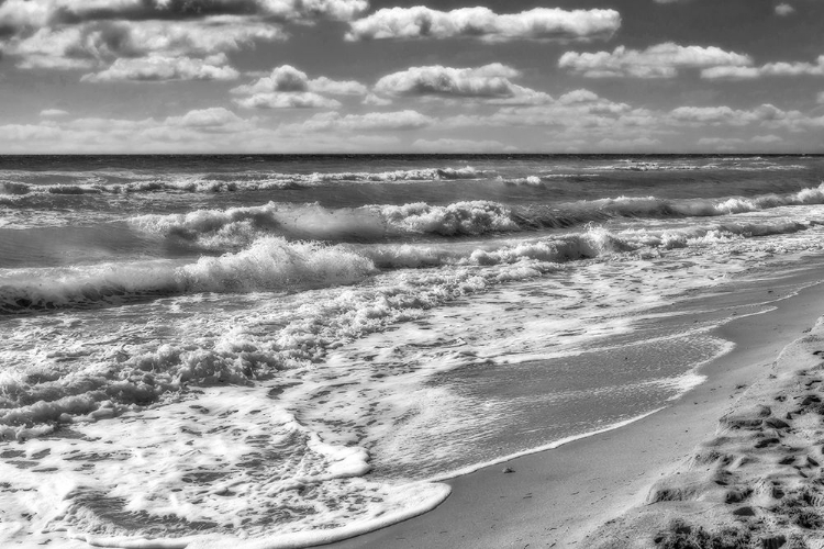 Picture of HOLLYWOOD BEACH FLORIDA  II