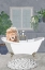 Picture of LION TAKES A BATH