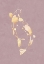 Picture of PINK GOLD KOI FISH 1