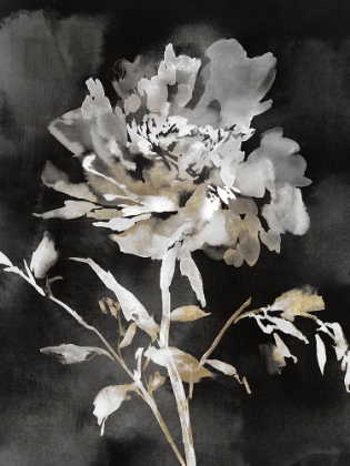 Picture of MOODY FLORAL II