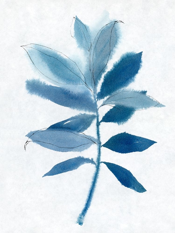 Picture of MODERN BLUE BOTANICAL I