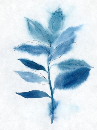 Picture of MODERN BLUE BOTANICAL II